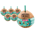 SET of 6 x BIO Coconut with straw (approximately 0.75 kg)