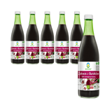 Sourdough from pickled beets gluten-free BIO 500 ml
