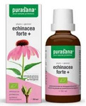 Echinacea forte (echinacea purpurea) drops dietary supplement bio 50 ml