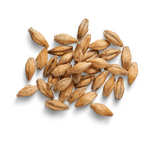 Kutia Wheat 1 kg – Tola