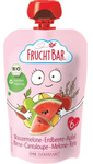 BIO puree of watermelon, strawberry, apple, pear, melon, rice 100 g – Fruchtbar