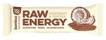 Raw Energy Bar coconut-cocoa gluten-free 50 g – Bombus