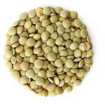 Green lentils BIO (raw material) (25 kg) 4