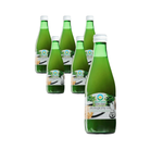 Sour celery juice, sugar-free BIO 300 ml