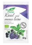 Organic Forest Fruit Flavored Pudding with Berries - Sugar-Free 38 g – Bio Planet