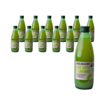 Lime juice 100% BIO 250 ml