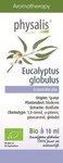 Organic Eucalyptus globulus Essential Oil 10 ml – Physalis