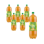 Kombucha green tea BIO 2 l