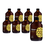 Kombucha turmeric + ginger bio 330 ml
