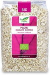Organic Rolled Oats 600 g – Bio Planet