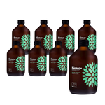 Kombucha Cucumber+Coriander BIO 315 ml