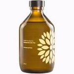 Organic Ginger & Acerola Kombucha 330 ml – Vigo