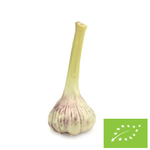 ŚWIEZY CZOSNEK BIO (POLAND) (about 50 g)