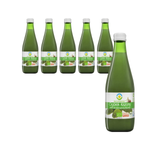 SET 6 x BIO pickled cucumber juice without sugar 300 ml