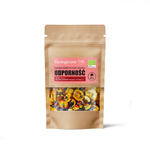 Organic Fruit Mix for Muesli and Desserts, Immunity 20 g – Dary Natury