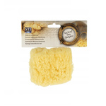 Natural Bath Sponge, Medium – STI