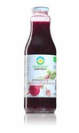 Vegetarian Borscht organic 500 ml – Bio Food