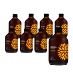 Kombucha Ginger+Acerola BIO 330 ml