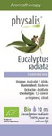 Organic Australian Eucalyptus (Eucalyptus radiata) Essential Oil 10 ml – Physalis