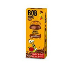 Milk Chocolate Mango Snack 30 g – Bob Snail