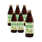 SET 6 x Kombucha lime-ginger BIO 330 ml