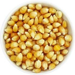 Popcorn (corn kernels) BIO (raw material) (25 kg) 2