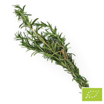 Fresh rosemary bio (about 50 g) - BIO