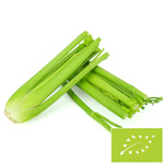 SELER NACIOWY ŚWIEŻY BIO (POLSKA) (około 0,40 kg)