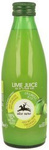Lime Juice NFC 100% Organic 250 ml – Alce Nero